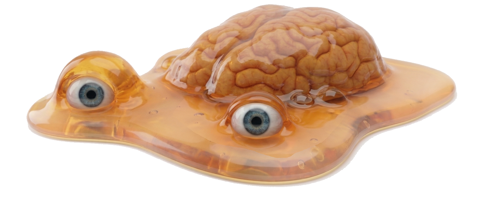 BrainPuddle